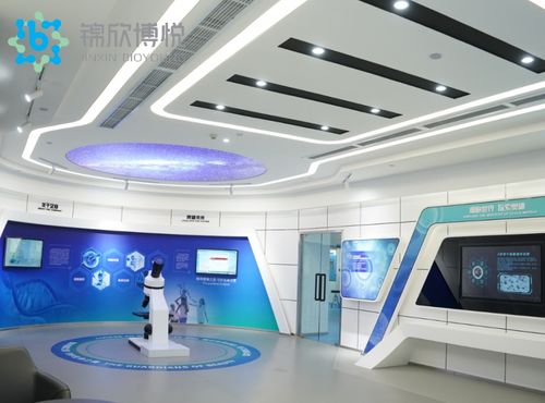 成功入庫國家項(xiàng)目，成都錦欣博悅加速技術(shù)創(chuàng)新與軟件開發(fā)布局