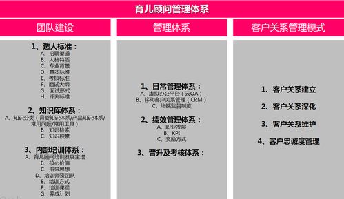解析咨詢行業 那些載入史冊的經典成功案例與策劃服務的核心價值